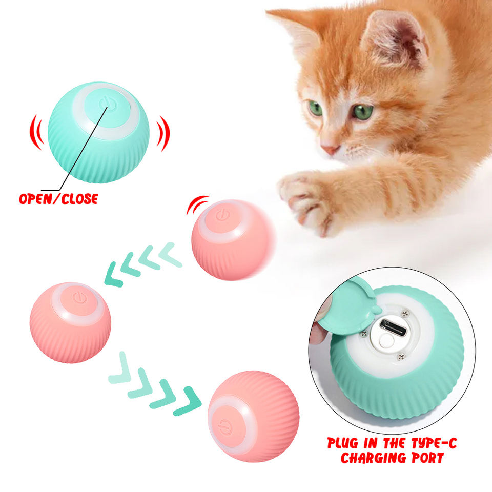 Electric Paw Ball
