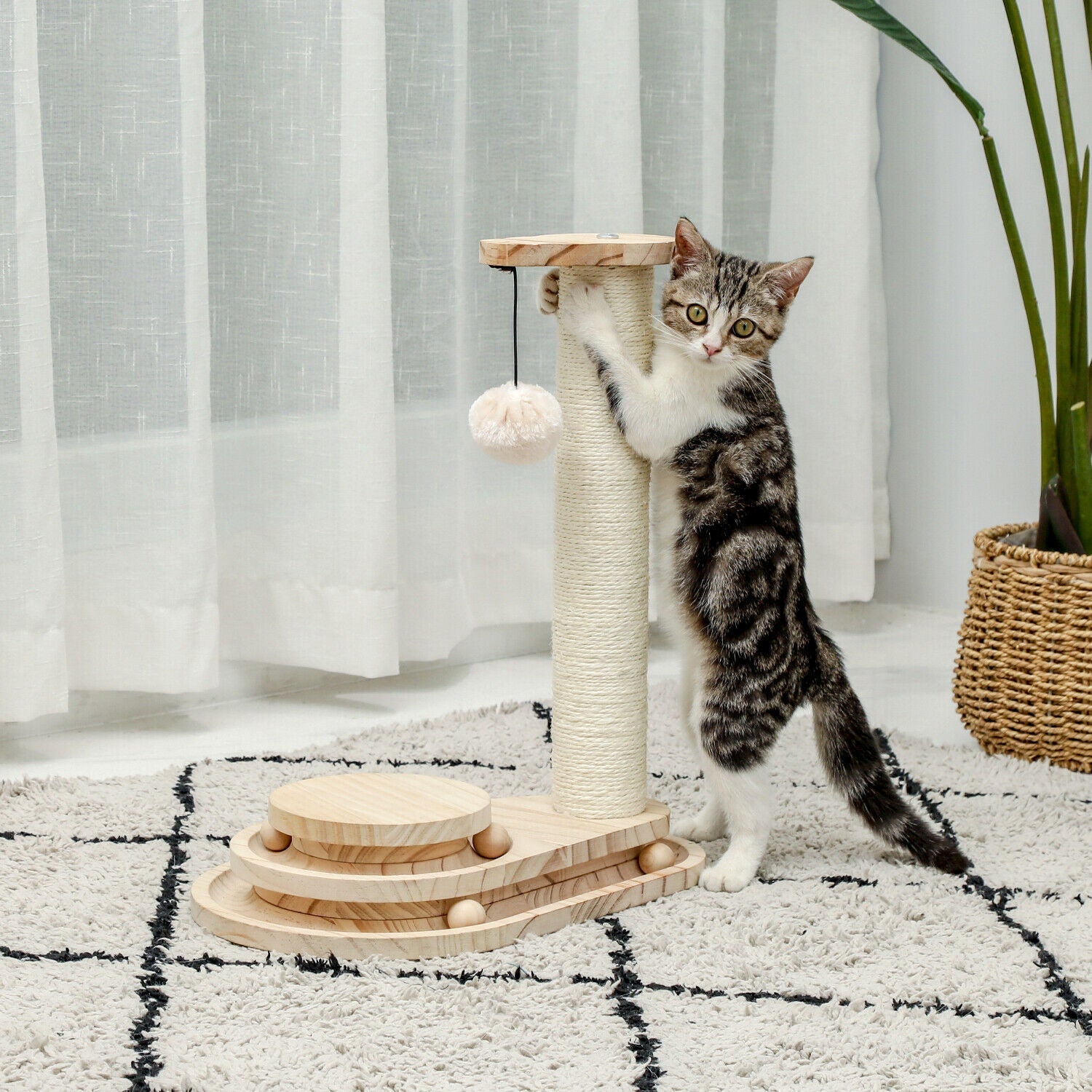 Interactive Turntable Wooden Ball Cat Toy-3
